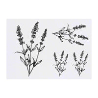 Azeeda 4 x 'Simple Lavender Plant' Temporary Tattoos - Water Resistant, Skin-Safe, Non-Toxic Transfers, Mixed Sizes (TO00076380)