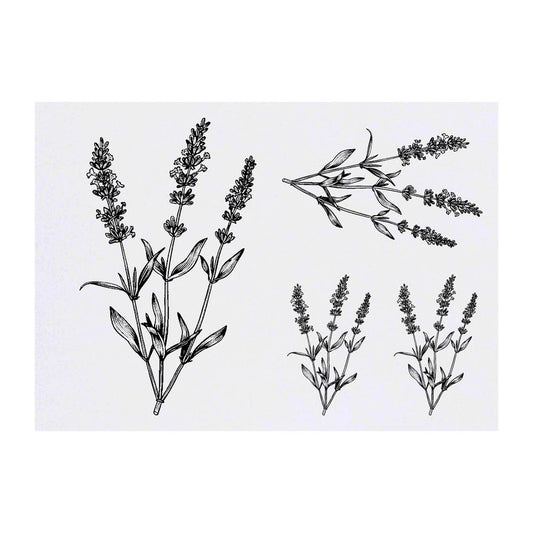 Azeeda 4 x 'Simple Lavender Plant' Temporary Tattoos - Water Resistant, Skin-Safe, Non-Toxic Transfers, Mixed Sizes (TO00076380)