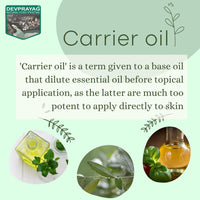 DEVPRAYAG Devprayag Pure Camellia Oil (Camellia kissi) with Glass Dropper Natural Therapeutic Grade Cold Pressed 50ml (1.69 oz)