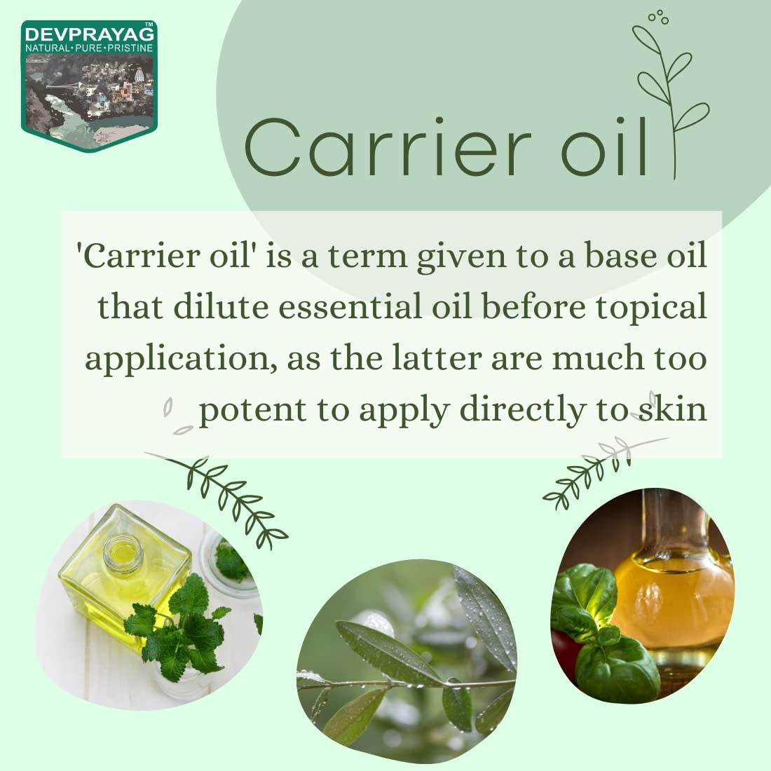 Devprayag Pure Camellia Oil (Camellia kissi) with Glass Dropper Natural Therapeutic Grade Cold Pressed 5ml (0.16 oz)