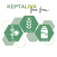 KEPTALIVA – Natural Liver Cleanse Detox & Repair, Gallbladder & Digestion Support, Milk Thistle (80 mg Silymarin), Artichoke, Schisandra, Andrographis, Black Radish, Bromelain, 1 Month Supply