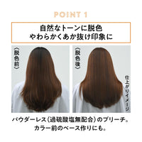 Liese Kao Bubble Bleach Hair Color Natural Tone