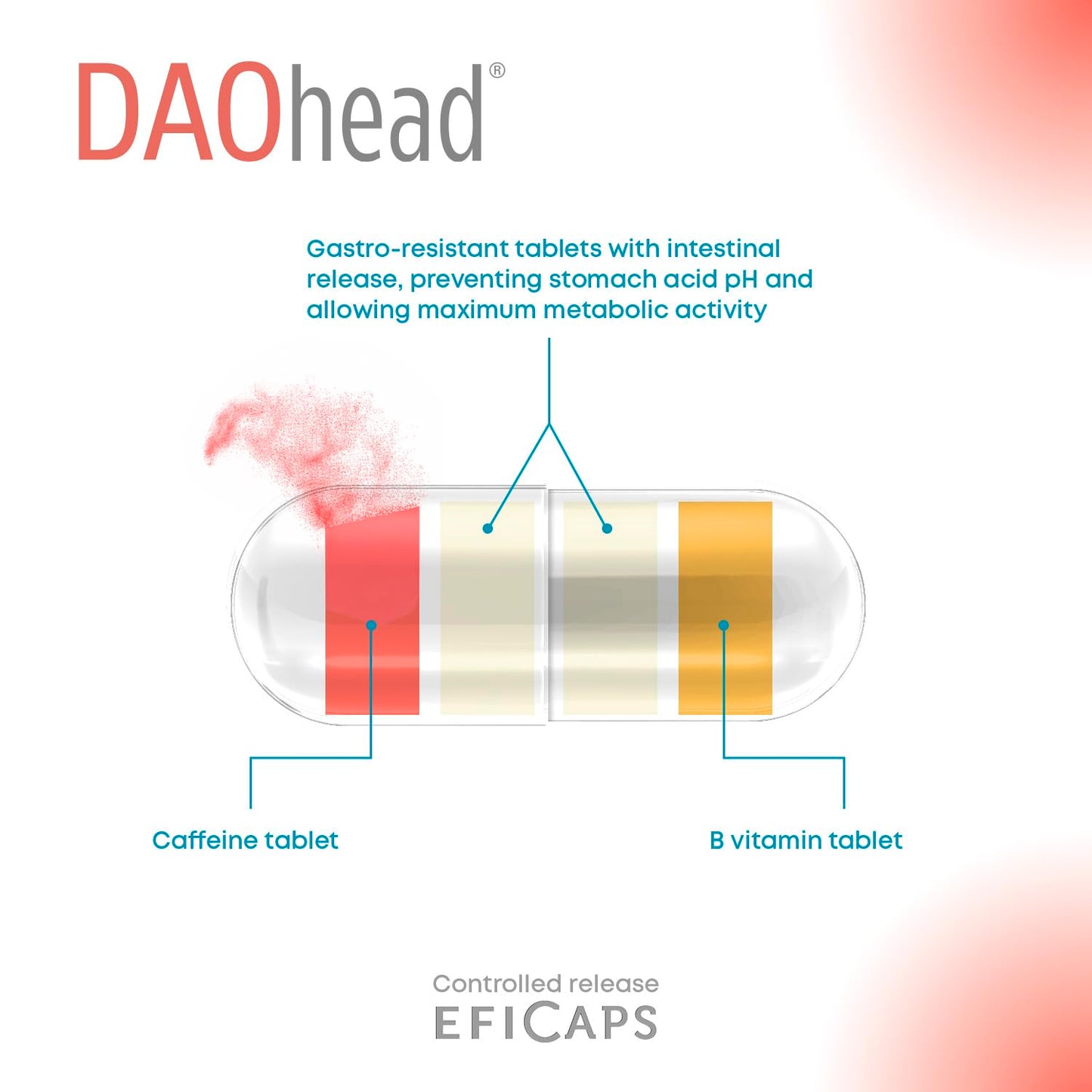 DR Healthcare - DAOhead - DAO Enzyme - Vitamins B6, B9, B12 and Caffeine - Support for Dietary Histamine Balance - 60 Capsules with Gastro-Resistant DAO Mini Tablets