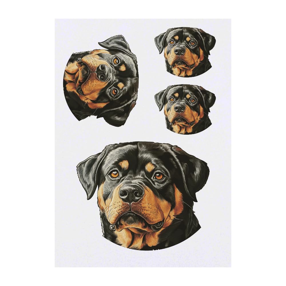 Azeeda 4 x 'Rottweiler Dog Portrait' Temporary Tattoos - Water Resistant, Skin-Safe, Non-Toxic Transfers, Mixed Sizes (TO00085740)