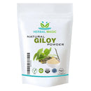 Herbal Magic's Pure & Natural Giloy Powder, for Super Smoothies, Shakes, soups - Premium Quality Powder - Free from Fillers & Preservatives - 100g