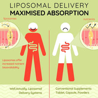 WELL ACTUALLY Liposomal Vitamin B Complex High Strength and Bioavailability - 8 Essential B Vitamins Complex for Energy, Brain, Metabolism Support - Tropical Flavour (50 Servings)