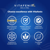 vitafenix Vitafenix Liver Support & Detox Supplement Capsules – High Strength Sulforaphane from Broccoli Sprout Extract, Milk Thistle, Dandelion, Artichoke and Alpha GPC – 60 Vegan Capsules