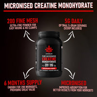 Creatine Monohydrate Powder by Stronglife - 1000 Grams (1KG), 200 Servings at 5 Grams, Micronised, Pure 200 Mesh, Unflavoured - Enhances Muscle Performance Power & Recovery