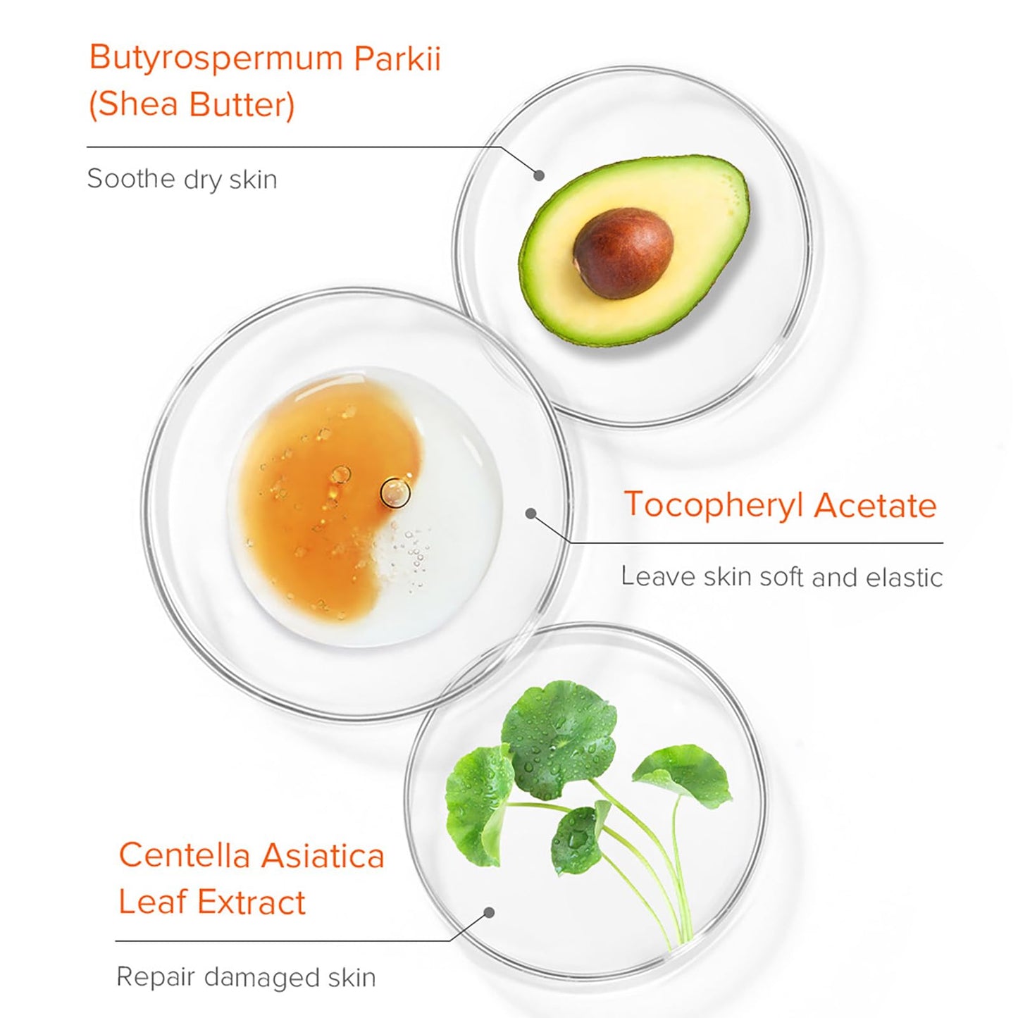 KKwoter Anti-Aging Vitamin C Moisturizer for Face - Day & Night Cream for Women & Men. Brightens & Evens Skin Tone, Boosts Collagen and Reduces Fine Lines. Effective Skin Care Solution