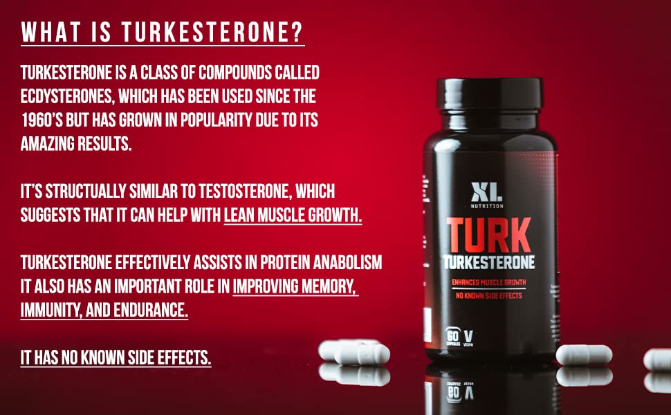 XL Nutrition Turkesterone | Enhance Muscle Growth | 500 Milligrams Ajuga Turkestanica | Vegan Friendly | 30 Servings | 60 Capsules
