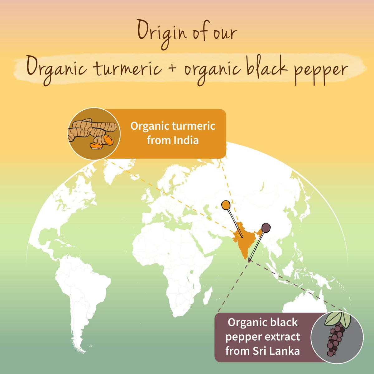 Vegavero Organic 5,600 mg Turmeric and Black Pepper Capsules High Strength | 162 mg Curcuminoid, 144 mg Curcumin and 10 mg Piperine | NO Additives, Lab-Tested | 120 Capsules