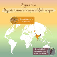 Vegavero Organic 5,600 mg Turmeric and Black Pepper Capsules High Strength | 162 mg Curcuminoid, 144 mg Curcumin and 10 mg Piperine | NO Additives, Lab-Tested | 120 Capsules