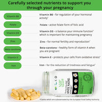 NHP The Natural Health Practice Natural Health Practice Ante Natal Support (60 Capsules) Multivitamin & Minerals for Healthy Pregnancy