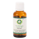 Bhringraj Oil | Eclipta Alba | 100% Pure Natural | Cold Pressed | Bhringraj Hair Oil | For Hair Growth | Rare Herbal Series | Bhringraj Oil | 15 ml | 0.507 oz By R V Essential