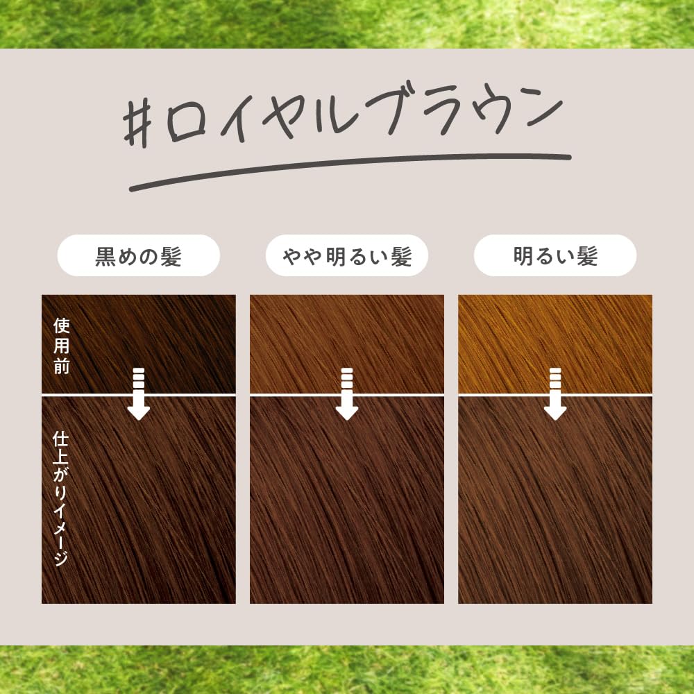 Liese Kao Bubble Hair Color - Royal Brown for Black Hair