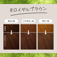 Liese Kao Bubble Hair Color - Royal Brown for Black Hair