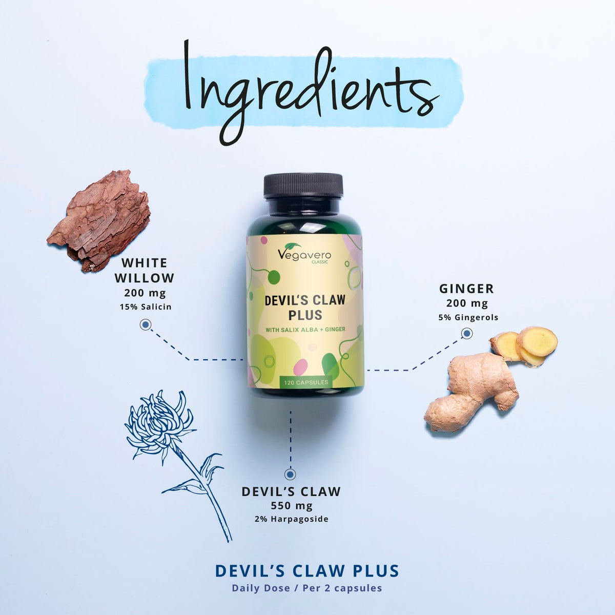 Vegavero Devil’s Claw | 4400 mg (8:1) Extract | NO Additives, Lab-Tested | with White Willow Bark & Ginger | Natural Joint Support | Harpagophytum with 2% Harpagoside | 120 Capsules | Vegan