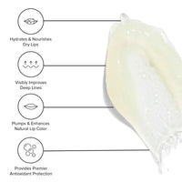 DRMTLGY C Balm: Antioxidant Lip Treatment Balm & Lip Oil with Supercharged Vitamin C FSA HSA Eligible, Hyaluronic Acid Serum for Deep Hydration, Smooths Lip Lines & Wrinkles, Plumps Dry, Chapped Lips