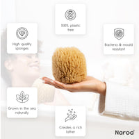 Naroa NAROA Natural Exfoliating Loofah Sea Sponges for Bath & Shower | Scrunchie Body Puff Scrubber | Sustainable Eco Gift for Adults (Medium)