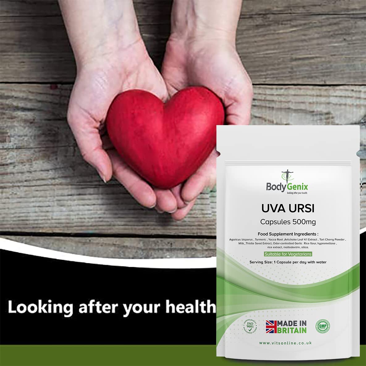 Bodygenix UVA Ursi | with Anti-inflammatory Properties | Supplement | Support Healthy Immune System and Urinary infections | 500mg (120) 4 Month Supply