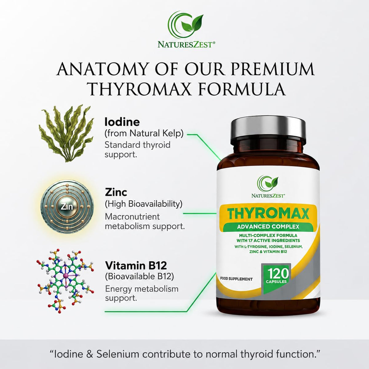 Natures Zest ThyroMax Thyroid Support Supplement - 120 Vegan Capsules, 17 Active Ingredients: Iodine & Selenium for Thyroid, L-Tyrosine, Ashwagandha, Zinc, B12 - High Strength Energy & Focus, 2 Month Supply
