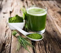Health Embassy Barley Grass Powder (Hordeum vulgare L) (100g)