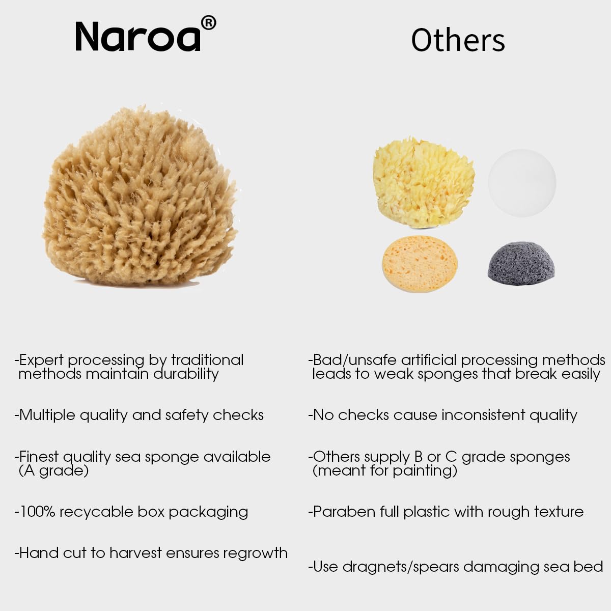 Naroa NAROA Natural Baby Bath Sponge in Gift Box | Soft Sea Unbleached Sea Washcloth for Babies | Newborn Shower Time Essentials | Pregnancy Registry Boy Girl