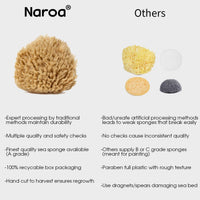 Naroa NAROA Natural Baby Bath Sponge in Gift Box | Soft Sea Unbleached Sea Washcloth for Babies | Newborn Shower Time Essentials | Pregnancy Registry Boy Girl