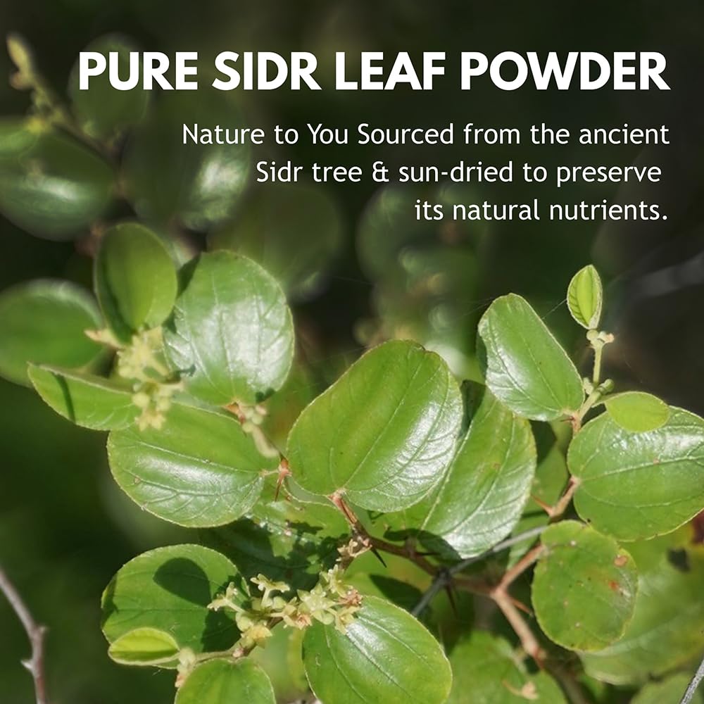 Hebhac Herbs Sidr Powder 227g | 100% Natural | Ideal for Skincare & Haircare | Nourishing hair and skin | Pure and fresh | Versatile Beauty Ingredient