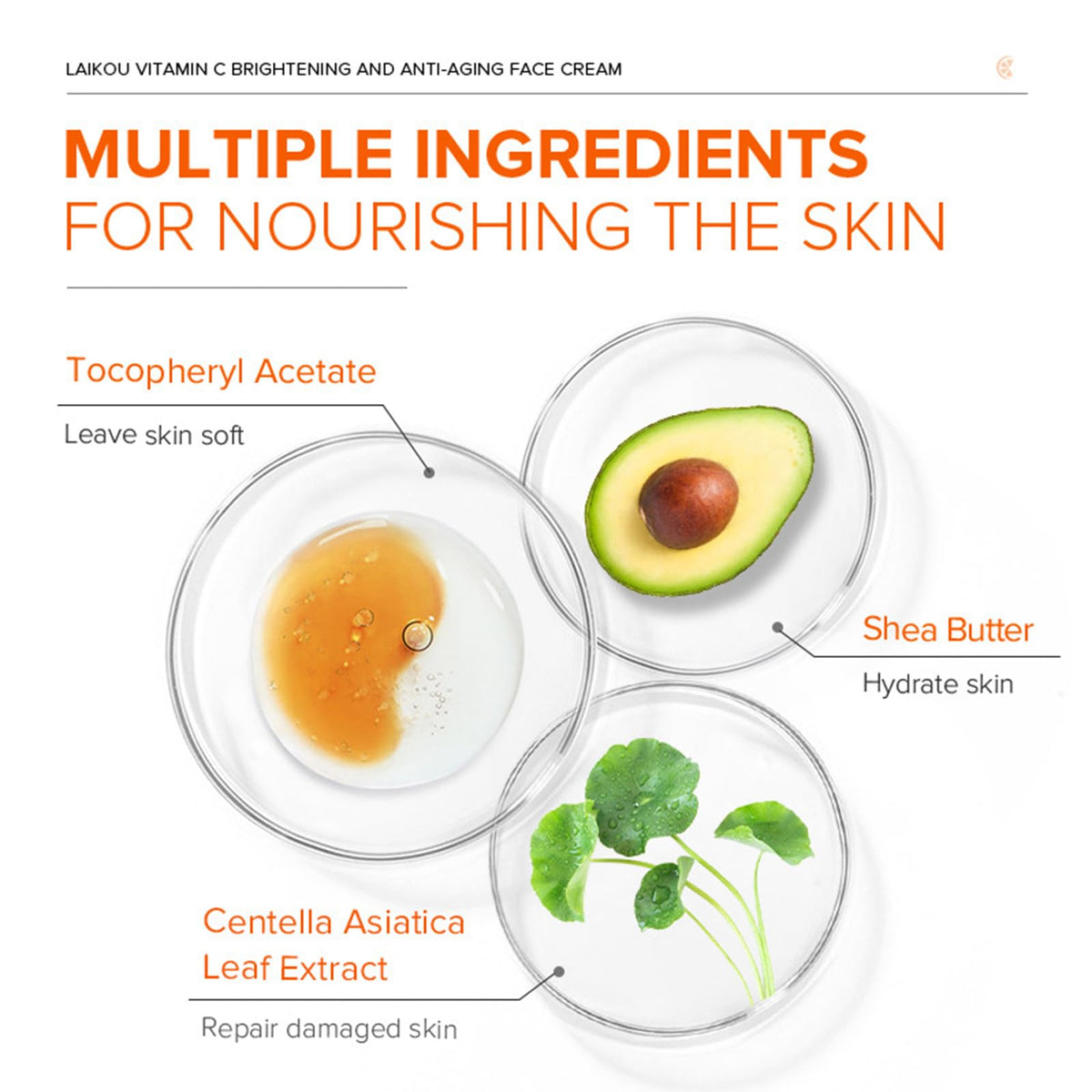 Angivlga Vitamin C Face Cream – Hyaluronic Acid And Vitamin C&E,Face Moisturiser For Women,Anti Aging&Wrinkle,Natural Skin Care Hydrate,Plump,Brightening Skin Care Lighten Dark Spots Erase Fine Lines (2PCS)