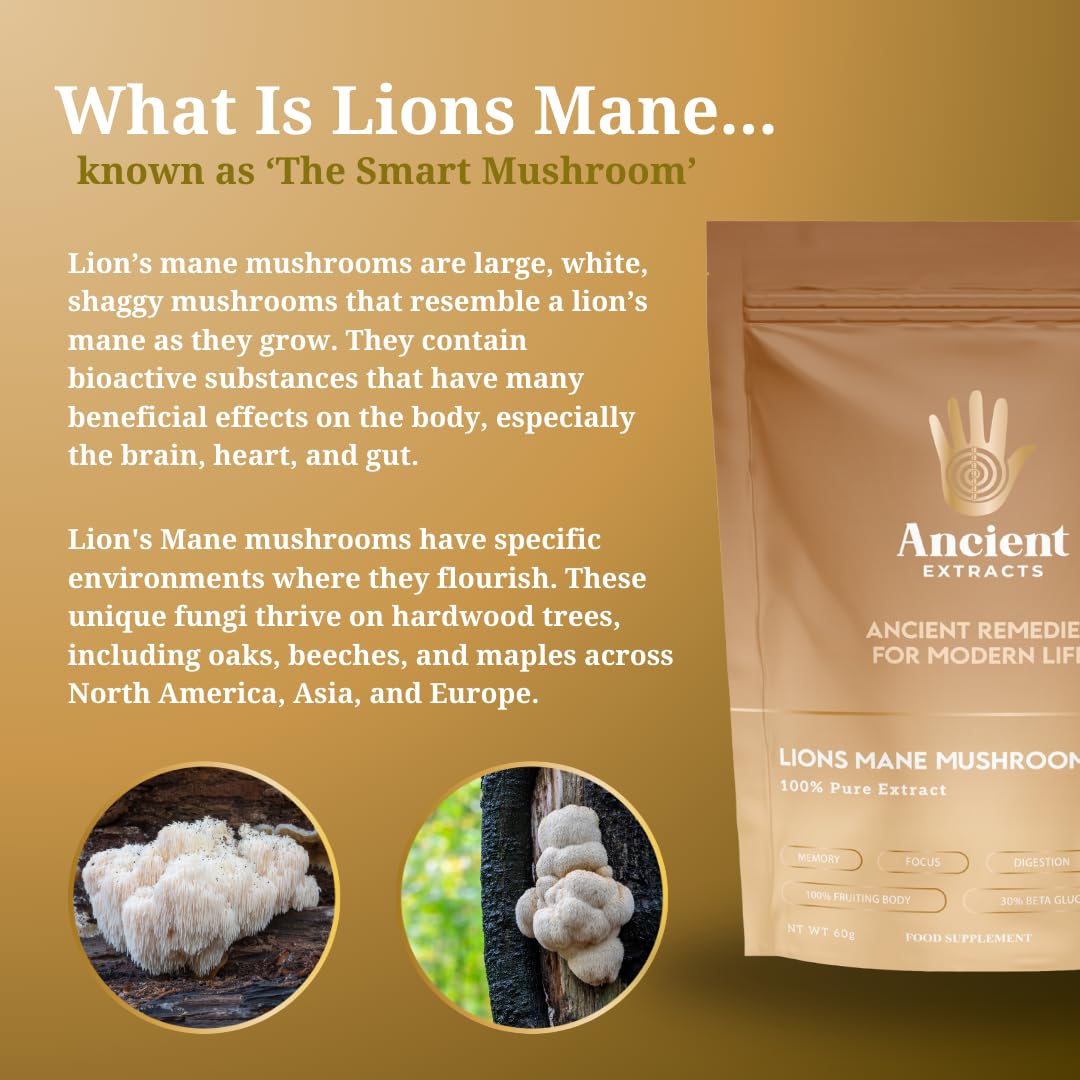 Ancient Extracts Lions Mane Mushroom Extract Powder - 2000mg Servings - GMO Free, Gluten Free, Vegan - Cognitive Function, Focus, Digestive Support - Superfood, Nootropic (60g)