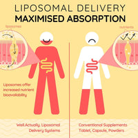 well actually WELL ACTUALLY Liposomal Vitamin C 1000mg - High Bioavailability Powerful Liquid Vitamin C Supplement - Supports Immunity, Skin, Brain, Joints, Energy - Vegan (250ml - 50 Servings)