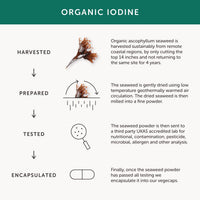 Organic Seaweed Iodine Supplement – Together Health – from Organic Seaweed – Natural Source of Iodine – Vegan Friendly – Made in The UK – Pack of 4-120 Vegecaps