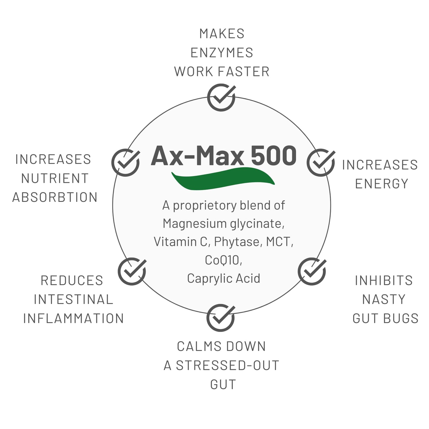 Cura Nutrition CURA NUTRITION - CuraZyme Ultra (90 Capsules) | for Sensitive Stomachs, Nutrient Supplements,Advanced Digestive Enzymes Supplement Blend, Gut Health Supplement, Easy Digest, Digestion Relief