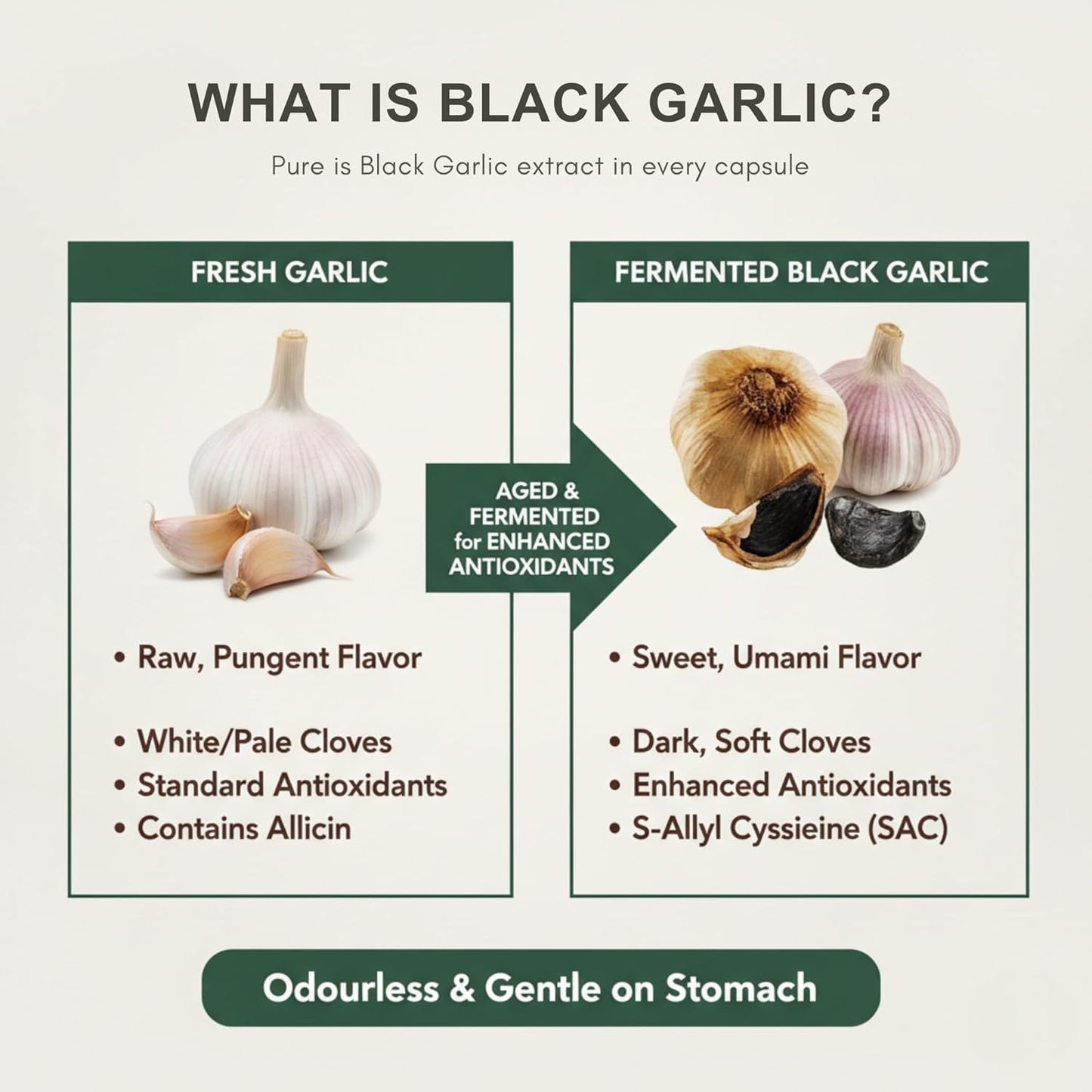 HerbStone HERBSTONE Black Garlic Capsules 1500mg High Strength | 120 Odourless Vegetarian Capsules | Aged Black Garlic Extract Supplement | Supports Heart Health, Cholesterol & Circulation | UK Formula