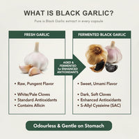 HerbStone HERBSTONE Black Garlic Capsules 1500mg High Strength | 120 Odourless Vegetarian Capsules | Aged Black Garlic Extract Supplement | Supports Heart Health, Cholesterol & Circulation | UK Formula