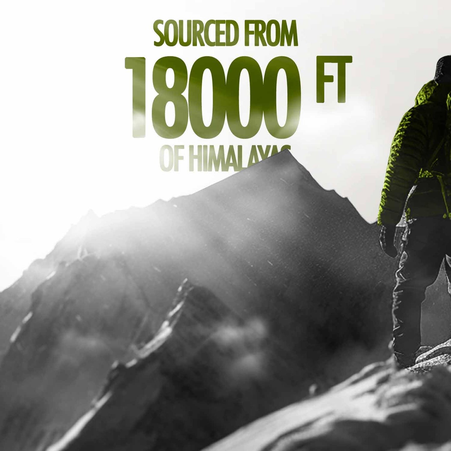 Kapiva Himalayan Shilajit/Shilajeet Resin 40g - for Endurance and Stamina | Contains Lab Report