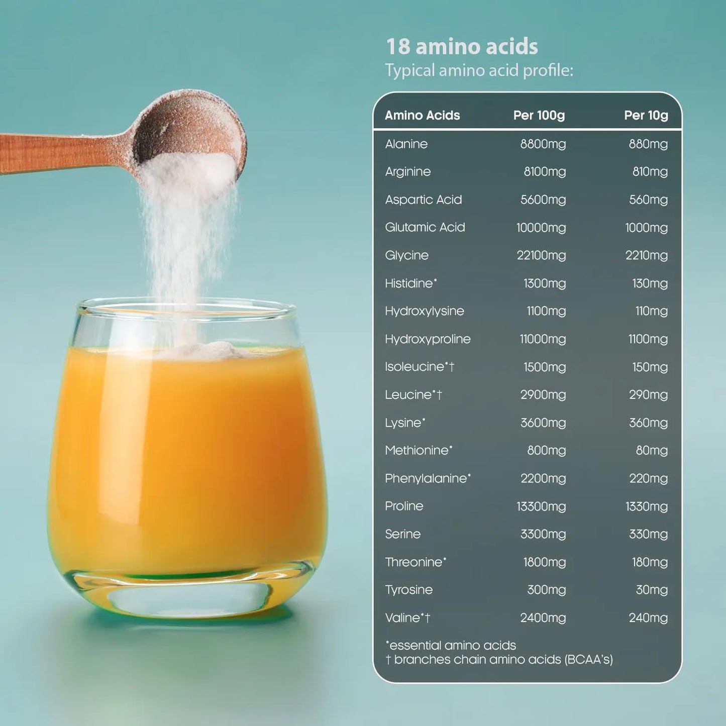 Gains Nutrition GN Collagen Peptides Powder | Hydrolyzed Bovine Collagen Powder - 500g Collagen Supplements | Unflavoured & Unsweetened Collagen Supplements for Women & Men with Essential Amino Acids | Allergen Free