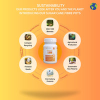 Healthmarque Vitamin D3 4000IU + K2 (MK7) 100 mcg | Vegetarian | Tablets