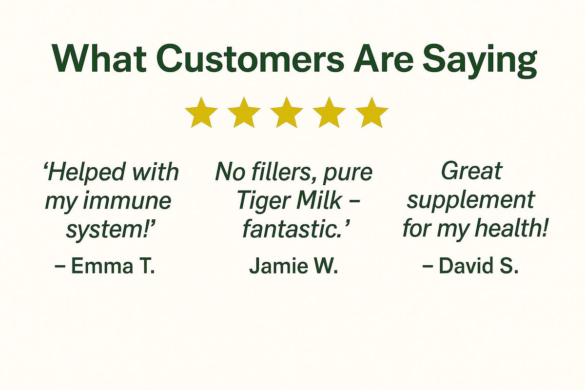 Tiger Milk Mushroom Capsules 500mg | High Strength | Pure & Natural Supplement | No Fillers or Binders | Vegan | Cognitive & Immune Support | Made in UK by Complete Detox
