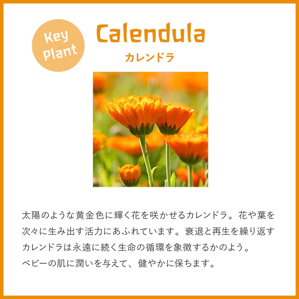 WELEDA Weleda Organic Calendula Baby Facial Cream 50ml Pack of 1
