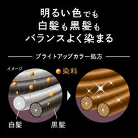 Kao Blaune Lumiest Hair Color Gray Hair Dye 2A Stylish Ash