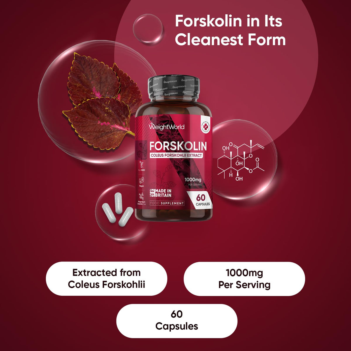 WeightWorld Forskolin Capsules 1000mg - 60 Vegan Capsules - Coleus Forskohlii Extract - Suitable for Keto & Low-Carb Diets - Allergen-Free & Non-GMO - Forskolin Supplement for Men & Women