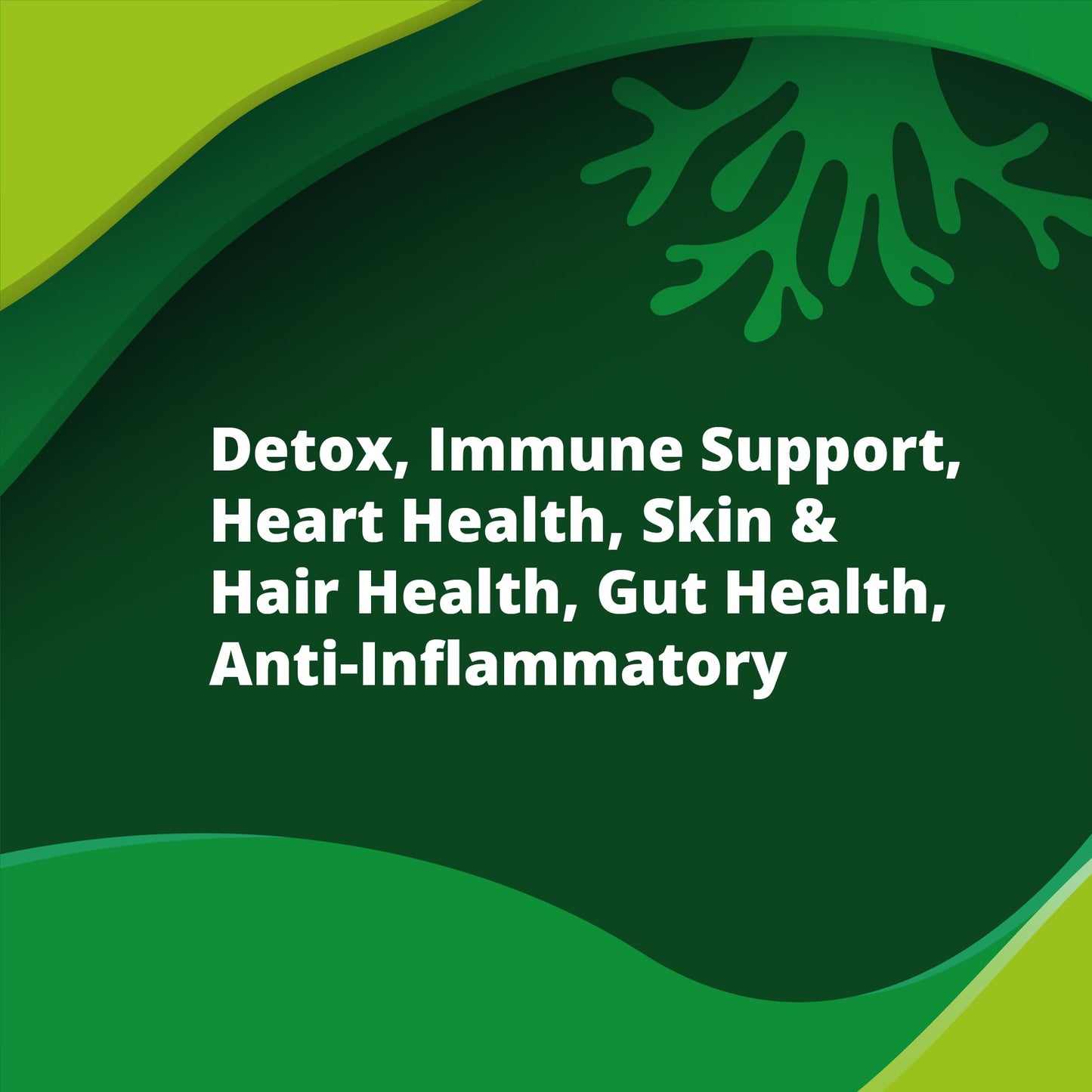 New Earth Organic Essentials Pure Moringa Capsules - Pure Moringa Oleifera Leaf Powder -180 Vegan Capsules