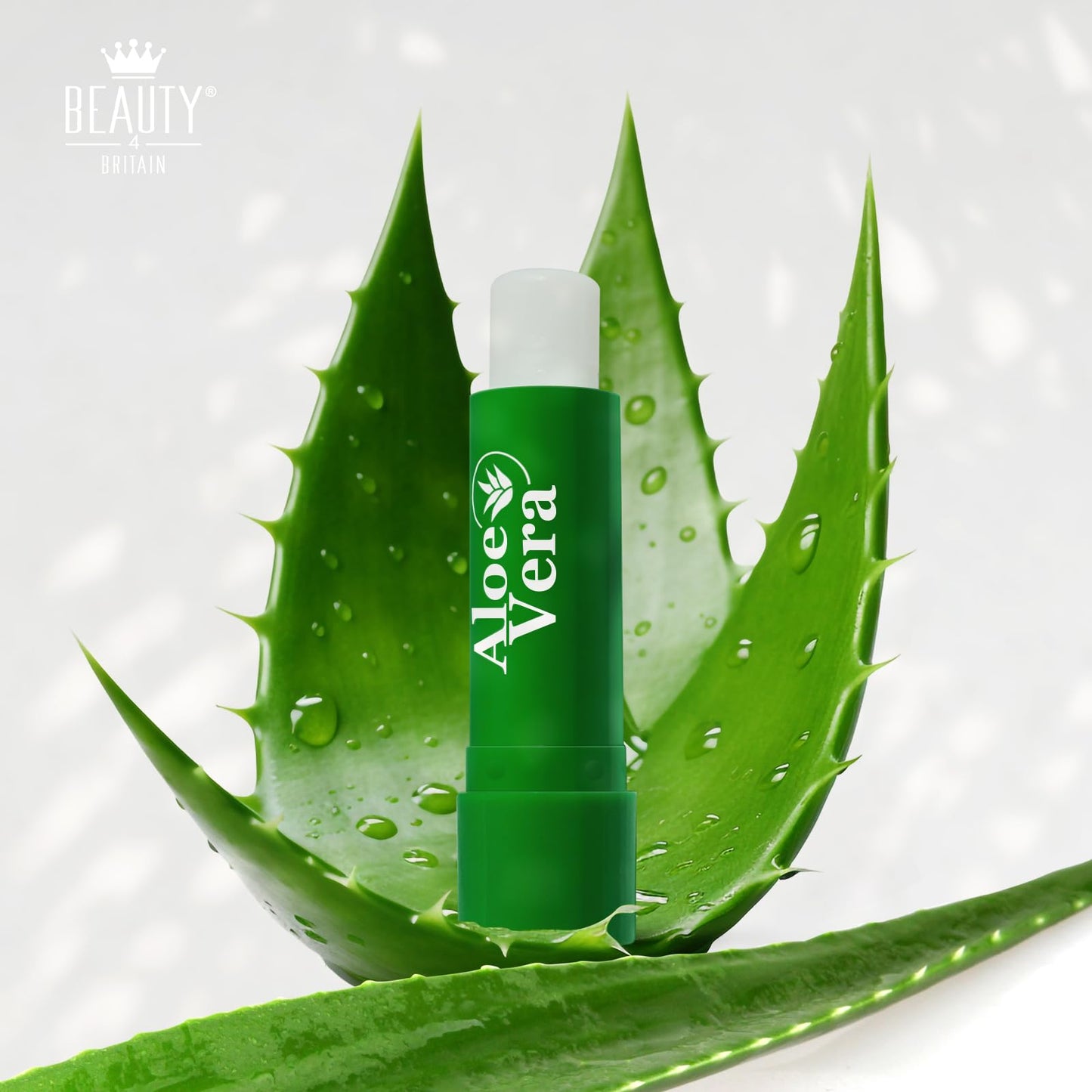 Beauty4Britain Set of 12 x Lip Balms Aloe Vera Long Lasting Moisturizing Lip Care Unisex Full Size Display Box UK Beeswax Vitamin E Omega-3