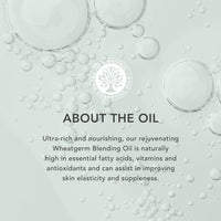 Tisserand - Wheatgerm Carrier Oil - Ethically Harvested Pure Blending Oil - for Aromatherapy and Body Massage - 100 ml