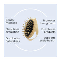 TEK - Scalp Massage Brush in Ash Wood with Strap, Ideal for Washing Air and Application of Anti-Hair Loss Lotions - 8.5 x 5 cm