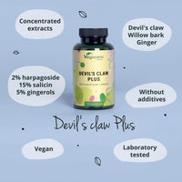 Vegavero Devil’s Claw | 4400 mg (8:1) Extract | NO Additives, Lab-Tested | with White Willow Bark & Ginger | Natural Joint Support | Harpagophytum with 2% Harpagoside | 120 Capsules | Vegan