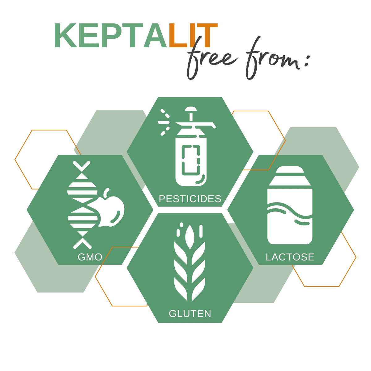 KEPTA health in nature KEPTALIT Natural Liver and Kidney Support Stone Breaker Extract Kidney Cleanse Herbal Supplement Source of Polyphenols - 60 Vegan Capsules - 1 Month Supply