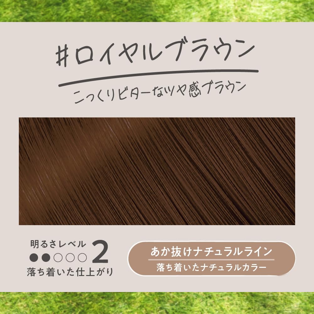 Liese Kao Bubble Hair Color - Royal Brown for Black Hair